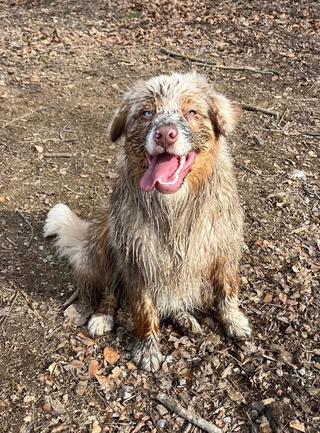 Xérès manzanilla deliciosa I Am Blue Of You