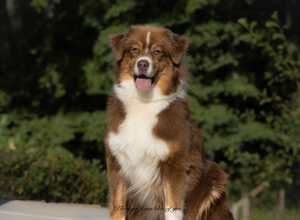 Ruby sparks du chemin des korrigans